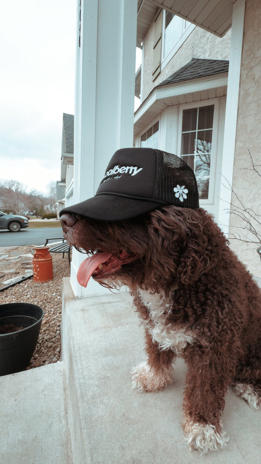 The People's Club Trucker